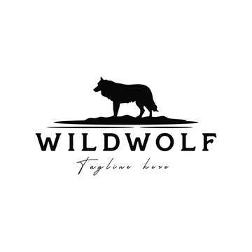 Retro vintage wild wolf logo design template