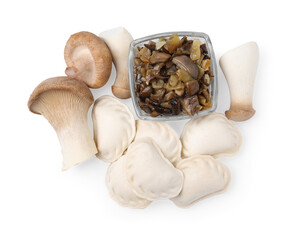 Raw dumplings (varenyky) and cooked mushrooms isolated on white, top view