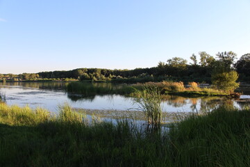 A body of water with grass and trees in the background