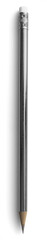 Silver Metallic Pencil 2