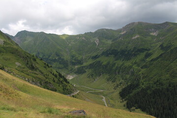 Fototapeta premium A green mountain with trees