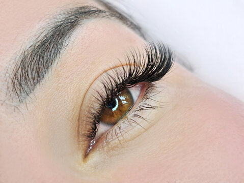 Close up of eye with eyelash extensions ,beauty salon treatment ,2d volume, 3d volume, classical lashes,Russian volume,megavolume, new set.