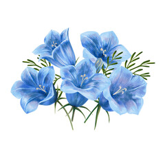 Illustration painted in watercolor. Bluebell flowers set. Isolated on a white background. Application for postcards, invitations