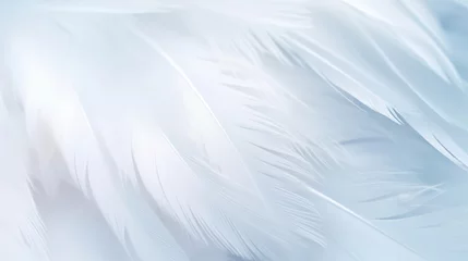 Zelfklevend Fotobehang Airy soft fluffy wing bird with white feathers, macro © tashechka