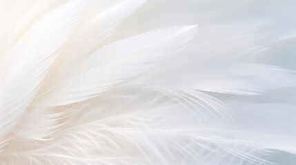 Fototapeta na wymiar Airy soft fluffy wing bird with white feathers, macro