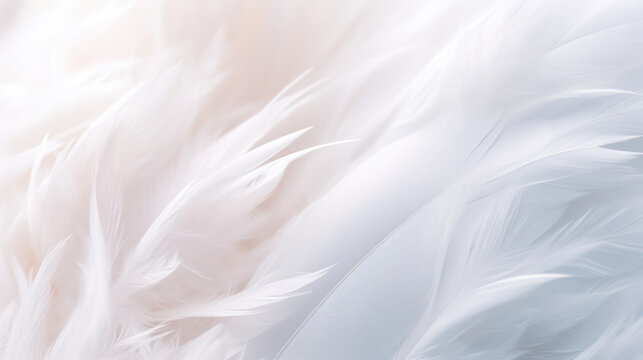 Airy Soft Fluffy Wing Bird With White Feathers, Macro