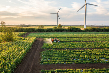 Aerial view of crop sprayer spraying pesticide or herbicides field at sunset. Protection plants to...