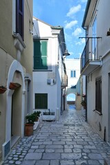Fototapeta premium The village of Termoli in Molise, Italy.