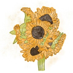 Watercolor floral canvas. Bouquet of yellow flowers, sunflowers on an isolated white background, watercolor painting, hand drawing. sunflowers bouquet watercolor hand painted composition