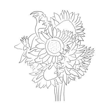 Continuous line sunflower summer nature tree simple line Hand drawn style illustration. Sunflower Outline, Sunflower Line Art, Floral Line Drawing, black and white sunflowers vector illustratio