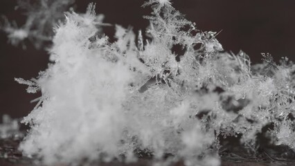 Macro of snow falling and melting on black substrate - Powered by Adobe