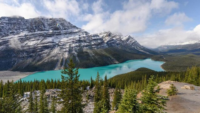 Scenery of Peyto Lake resemble of fox with canadian rockies on sunny day in Banff national park