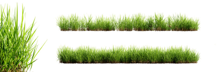 Green grass borders with selective focus closeup, isolated on transparent background. 3D render.