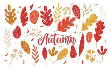 Autumnal Leaves collection with Autumn inscription. Golden color leaf set. Vector illustration in doodle style isolated on white background. Seasonal doodle. Autumn forest greenery. Seasonal florals.