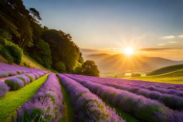 lavender field at sunset generated ai 