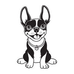 Black and white vector drawing of a Boston Terrier puppy