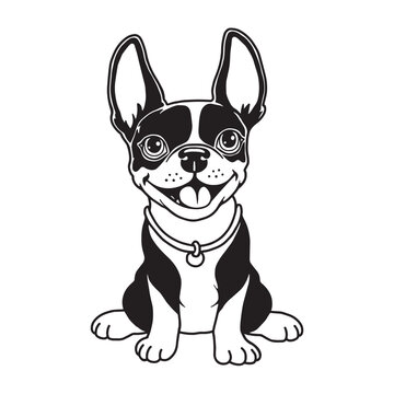 Black and white vector drawing of a Boston Terrier puppy