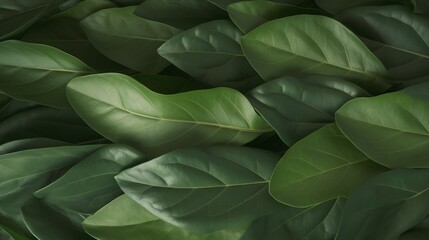 leaves photorealistic close-up, ai generation