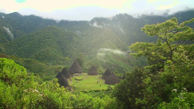 Camera tilt-up from the wild plant to look unique village in Indonesia, Waerebo village