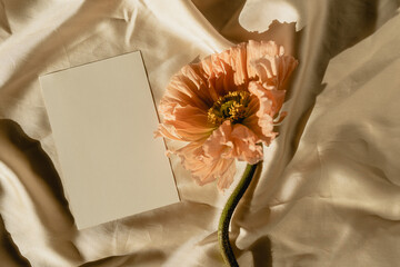 Blank paper sheet card with mockup copy space and poppy flower with sunlight shadow on crumpled...