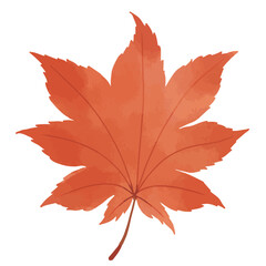 赤いもみじのイラスト
