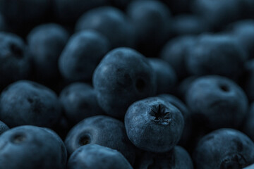 Delicious fresh blueberries on a dark background, macro