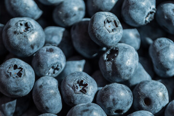 Fresh tasty juicy blueberry with harsh sun light