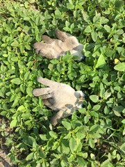 Taiwan is an island of unexpected beauty, with verdant valleys, hills and forests to roam in.