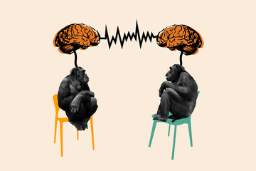 Collage portrait of two black white effect monkeys sit chair communicate mind brain connection...