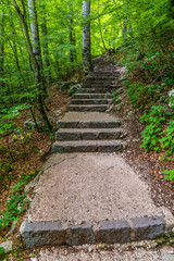 A view down the path leading away from the Savica waterfall above lake Bohinj, Slovenia in summertime