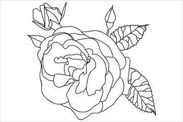 Black and white painted rose with leaves, intended for holidays, postcards, March 8, Valentine 
