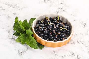 Juicy black currant berries in the bowl
