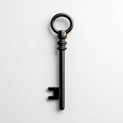 Vintage key silhouette, door key logo, generative AI.