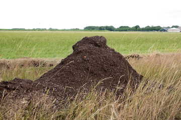 Heap of soil with Perlite grains, added to improve air-holding capabilities and increase drainage...