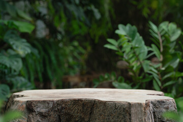 Wood tabletop podium floor in outdoors blur green leaf tropical forest nature landscape background.cosmetic natural product mock up placement pedestal stand display,jungle summer concept.