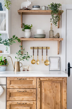 kitchen with scandinavian interior, wooden cabinet, utensils and plants