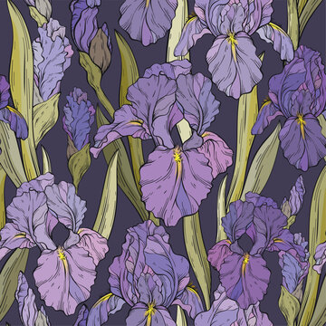 pattern with iris flowers, dark background.