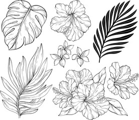 Set of Hibiscus, palms. Black and white