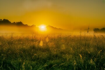 Scenic view of golden sunrise at Glastonbury Tor, Somerset © Phil Whiting/Wirestock Creators