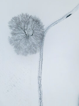 Aerial view of a snowy tree top and footprints along a parth in Columbia, Maryland, United States.