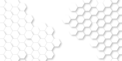 Seamless Background with white lines 3d Hexagonal structure futuristic white background and Embossed Hexagon , honeycomb white Background ,light and shadow ,Vector.