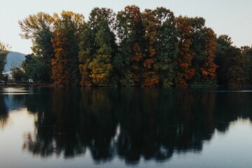 Beautiful scene of tall, verdant trees reflected on the tranquil surface of a pristine lake