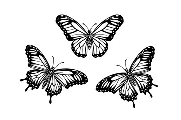Set of butterfly sketch. Hand drawn engraving style vector illustration.