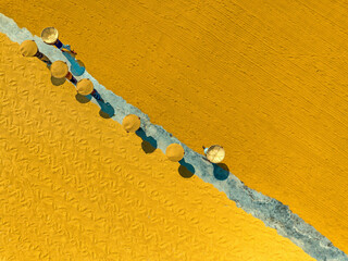 Aerial view of people working in a rice mill field, Dhamrai, Dhaka, Bangladesh.