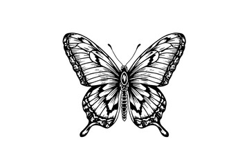 Fototapeta na wymiar Butterfly sketch. Hand drawn engraving style vector illustration.