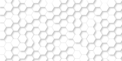 Seamless Background with white and black lines 3d Hexagonal structure futuristic white background and Embossed Hexagon , honeycomb white Background ,light and shadow ,Vector.