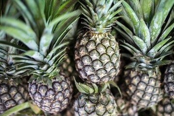 Close-up on bunch of pineapples for sale