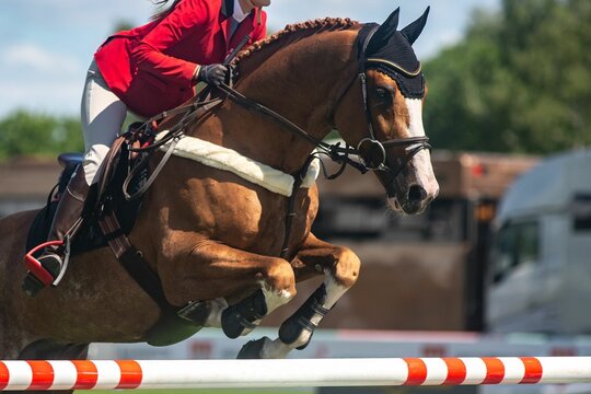 Professional equestrian on a horse jumping over a hurdle at a competition