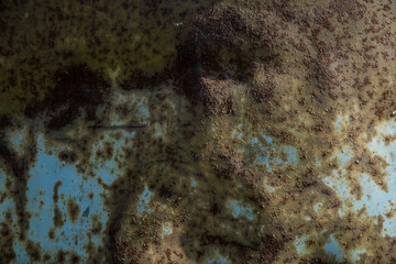 rusty surface detail close up