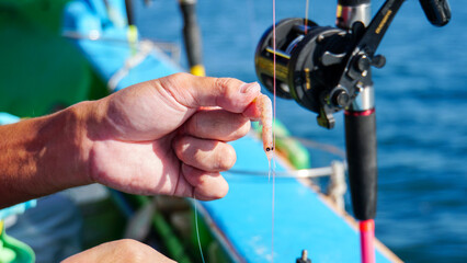 船上で男が手に持った釣り用の餌のオキアミ